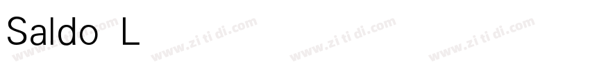 Saldo Light字体转换
